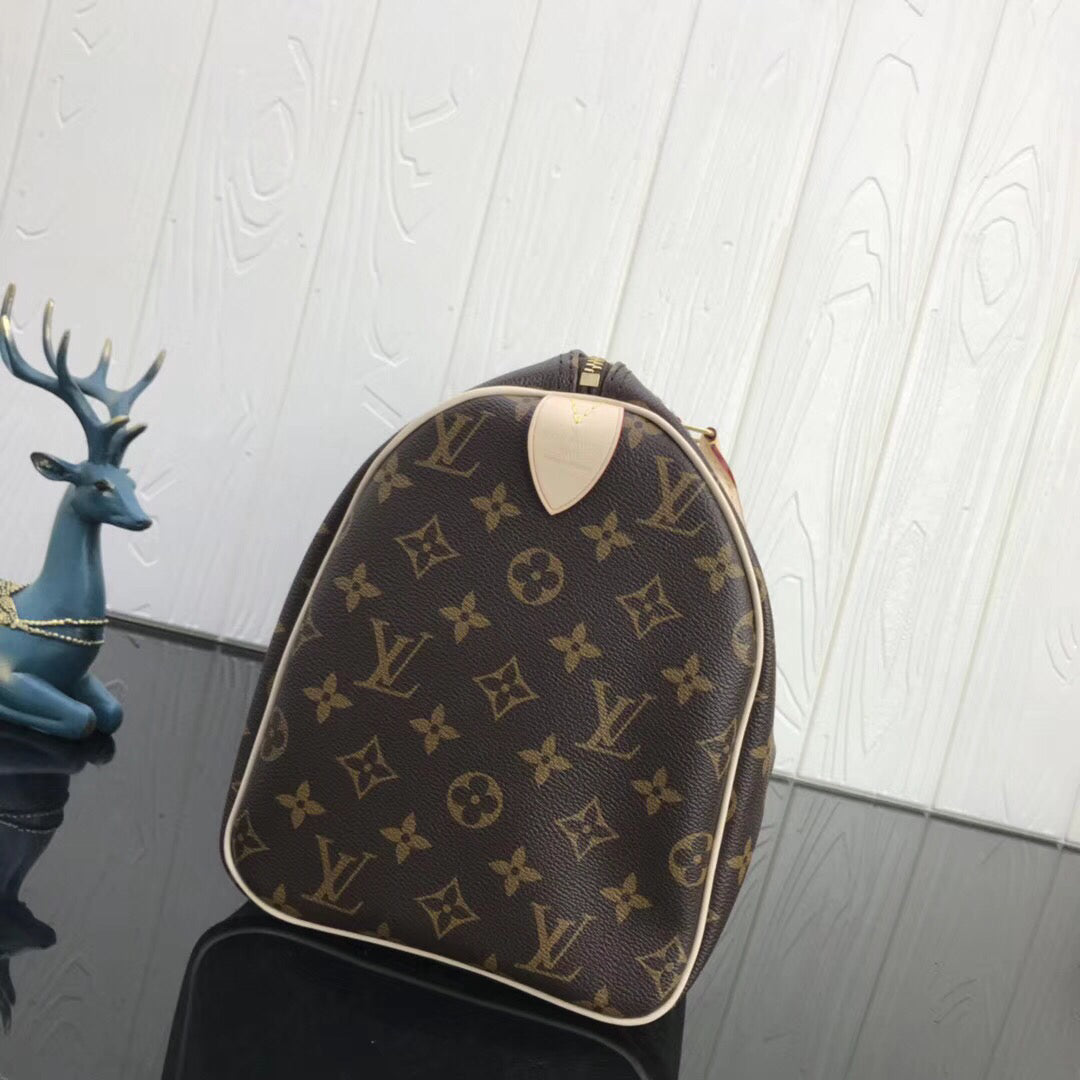 LV SPEEDY BAG 30