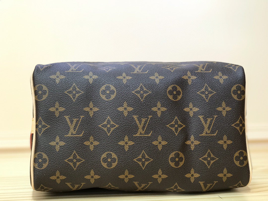 LV SPEEDY BANDOULIÈRE BAG 25